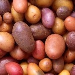 Чего вы еще не знаете о выращивании картофеля?