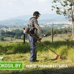 Услуги покоса травы в Минске - секрет красивого газона