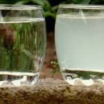 Как сохранить качество воды